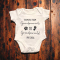 🤍 Pregnancy Announcement: ‘Grandpawrents to Grandparents’ 🐶Vinyl detailing white baby vest Claxton Creations GB